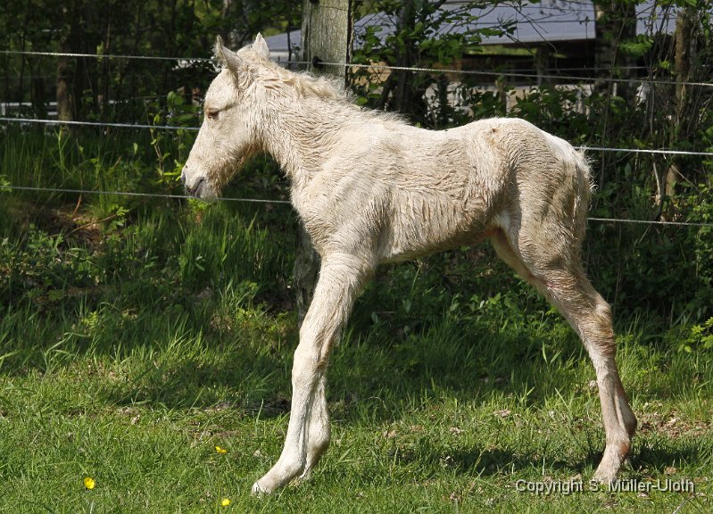 Hjoerdis 1 Stunde und 14 Min alt.JPG